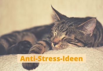 Anti-Stress-Ideen